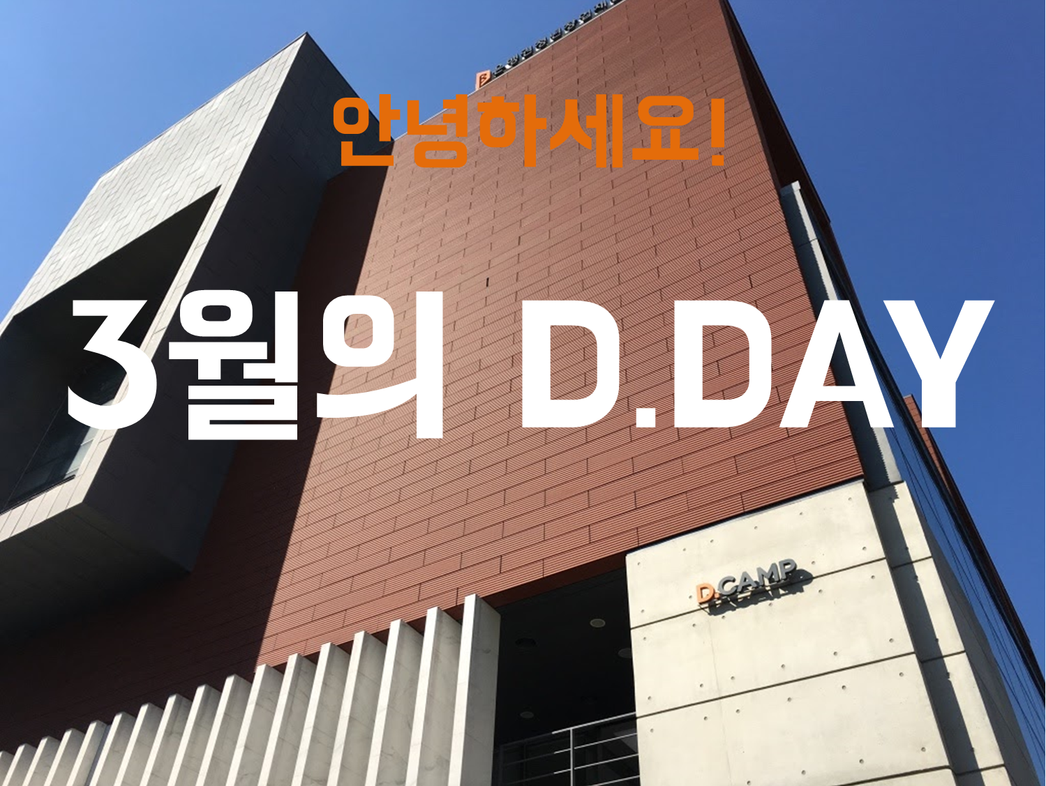 디캠프 D.DAY LIVE 행사 라이브 스트리밍