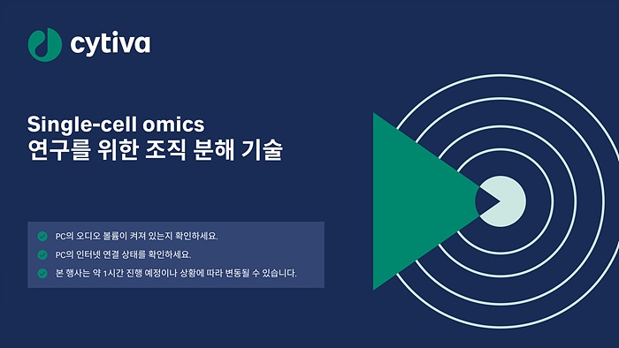 시작 전판.jpg